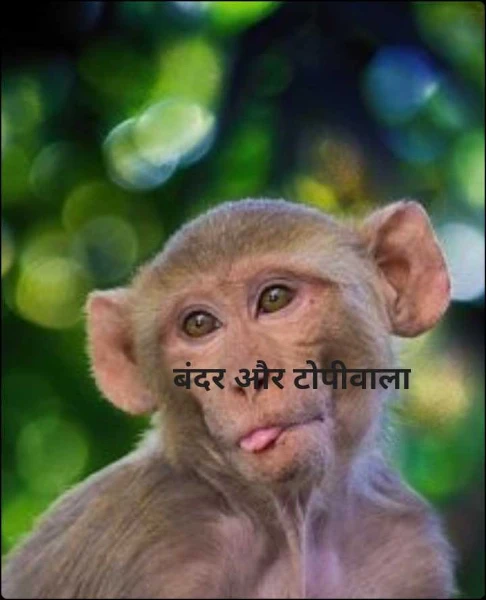 बंदर और टोपीवाला