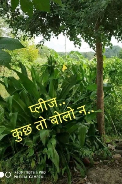 प्लीज.. कुछ तो बोलो न..
