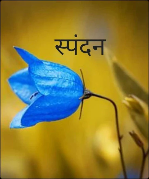 स्पंदन