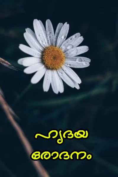ഹൃദയ രോദനം.㋛︎