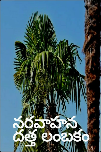 నరవాహన దత్త లంబకం