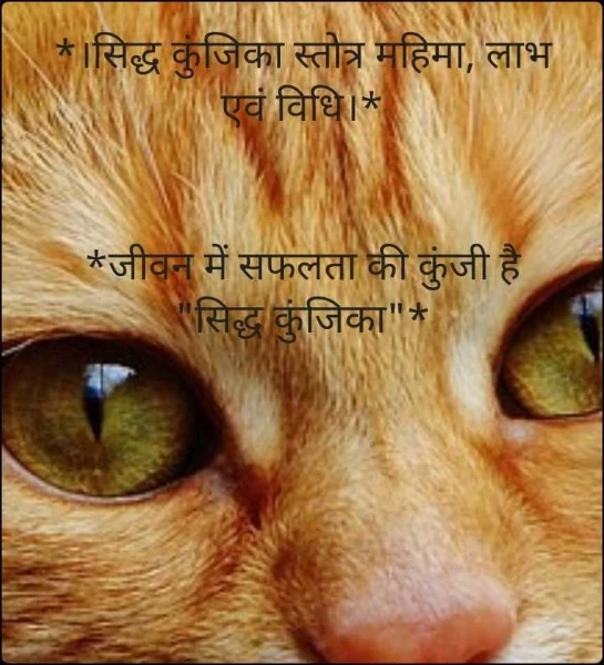 *।सिद्ध कुंजिका स्तोत्र महिमा, लाभ एवं विधि।*


*जीवन में सफलता की कुंजी है "सिद्ध कुंजिका"*