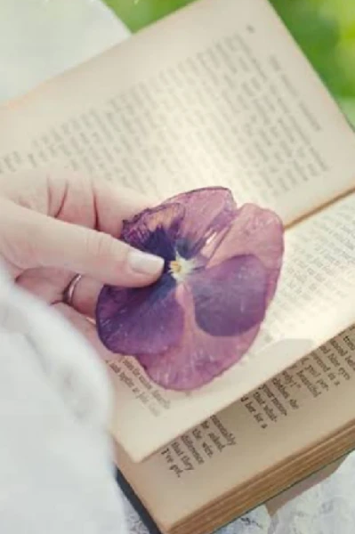 अमानत में खयानत