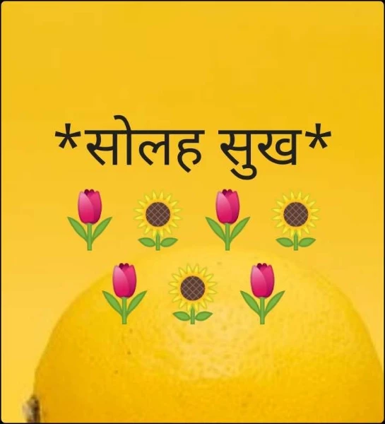 *सोलह सुख*  🌷🌻🌷🌻🌷🌻🌷