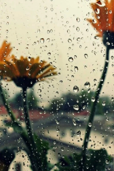 🌧️മഴയെ പ്രണയിച്ച ഭൂമി🌧️