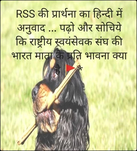 RSS की प्रार्थना का हिन्दी में अनुवाद ... पढ़ो और सोचिये  कि राष्ट्रीय स्वयंसेवक संघ की भारत माता के प्रति भावना क्या है 🚩*