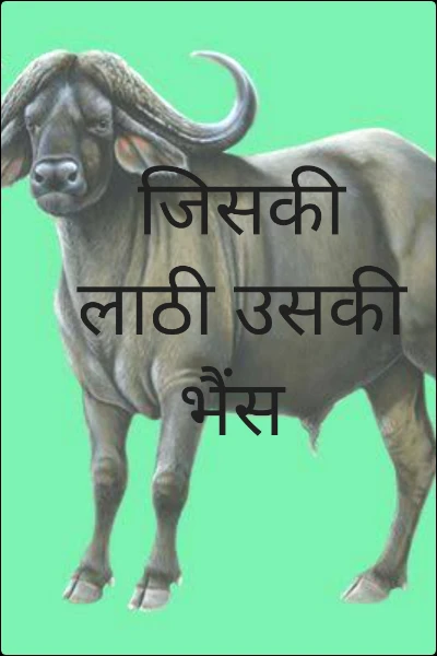 जिसकी लाठी उसकी भैंस