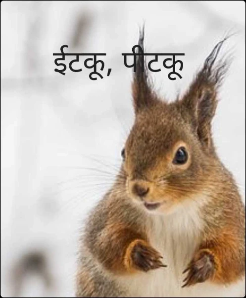 ईटकू, पीटकू