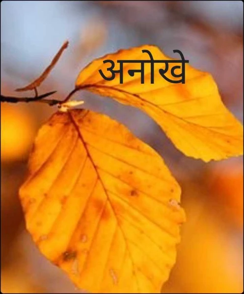 अनोखे
