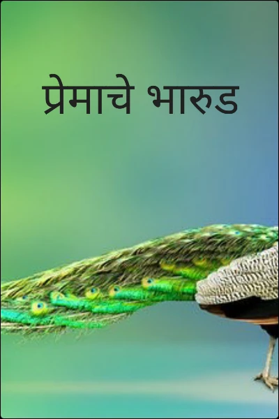 प्रेमाचे भारुड