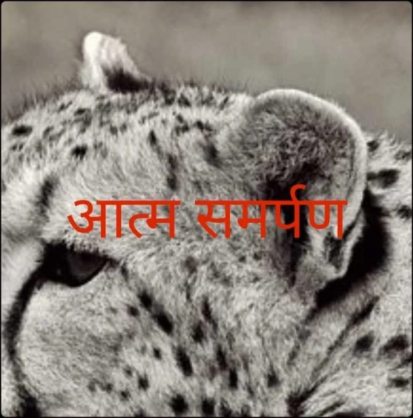 आत्म समर्पण
