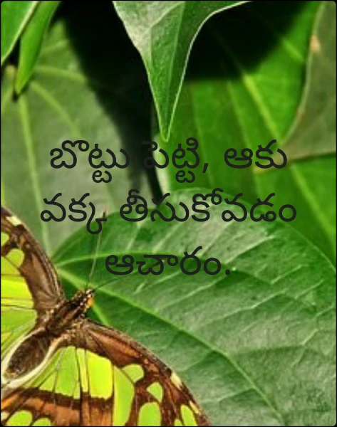 బొట్టు పెట్టి, ఆకు వక్క తీసుకోవడం ఆచారం.