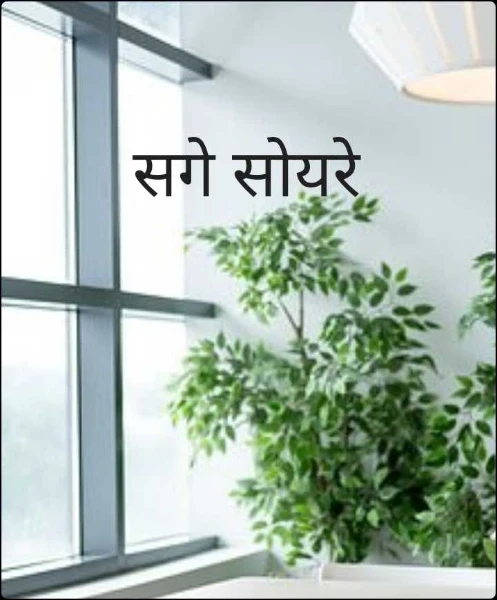 सगे सोयरे