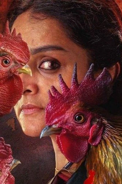 പ്രതി പൂവൻകോഴി