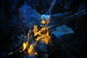 സ്വാമി അയ്യപ്പ കീർത്തനം (കവിത)