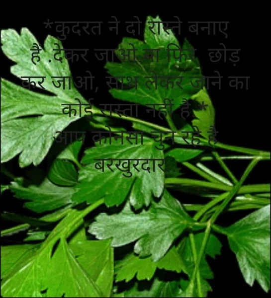 *कुदरत ने दो रास्ते बनाए हैं .देकर जाओ या फिर  छोड़ कर जाओ, साथ लेकर जाने का कोई रास्ता नहीं है.*
आप कोनसा चुन रहे है बरखुरदार..