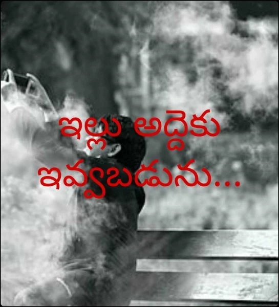 ఇల్లు అద్దెకు ఇవ్వబడును...