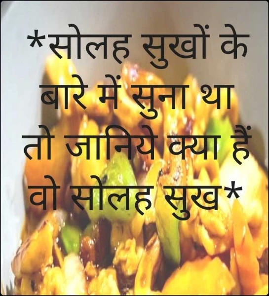 *सोलह सुखों के बारे में सुना था तो जानिये क्या हैं वो सोलह सुख*