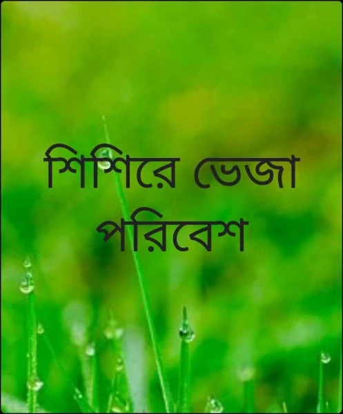 শিশিরে ভেজা পরিবেশ