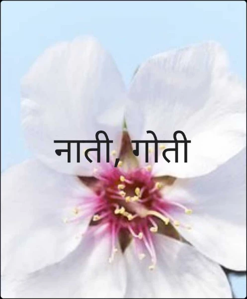 नाती, गोती