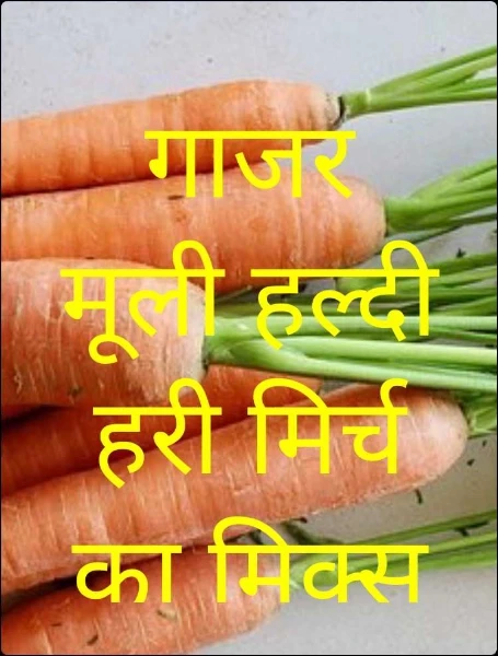 गाजर मूली हल्दी हरी मिर्च का मिक्स इंस्टेंट सब्जी अचार