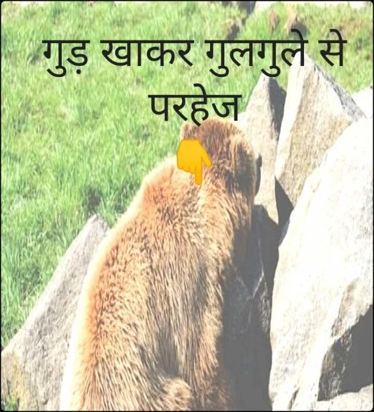 गुड़ खाकर गुलगुले से परहेज
👇