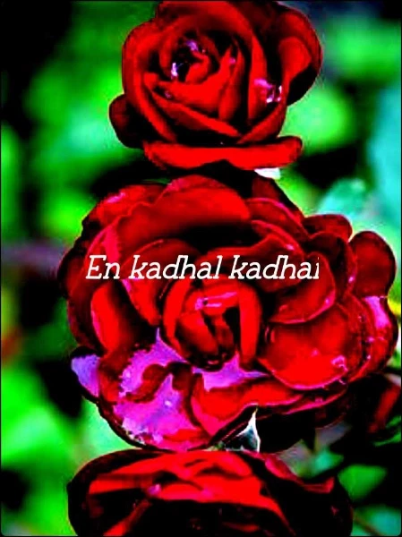 En kadhal kadhai