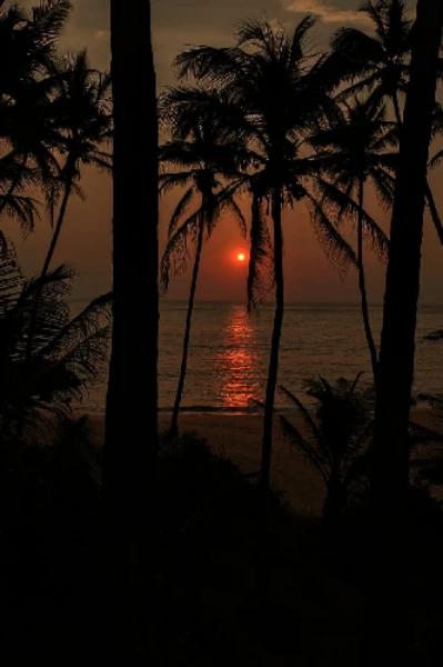 सहर्ष स्वागत...