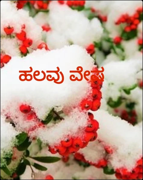 ಹಲವು ವೇಷ