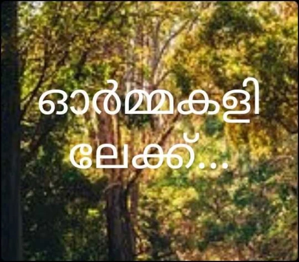 ഓർമ്മകളിലേക്ക്...