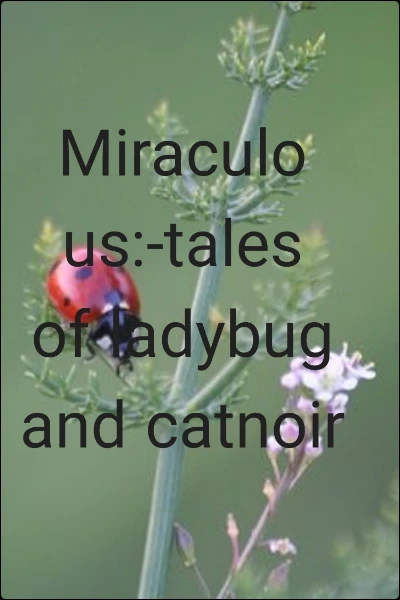 Miraculous:-tales of ladybug and catnoir