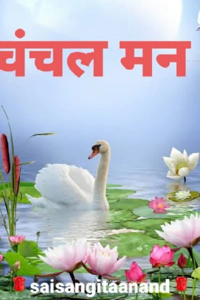 🌹 चंचल मन 🌹