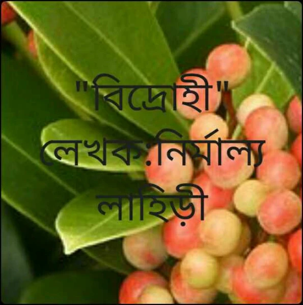 "বিদ্রোহী"          লেখক:নির্মাল‍্য  লাহিড়ী