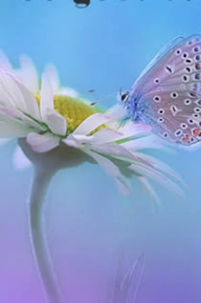 पैसा या प्यार