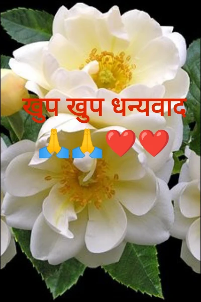 खुप खुप धन्यवाद🙏🙏❤️❤️