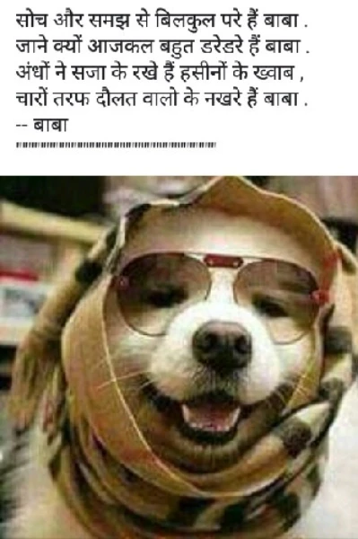 "धोबी का कुत्ता"