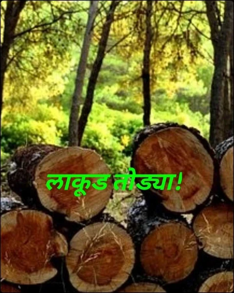 लाकूड तोड्या!