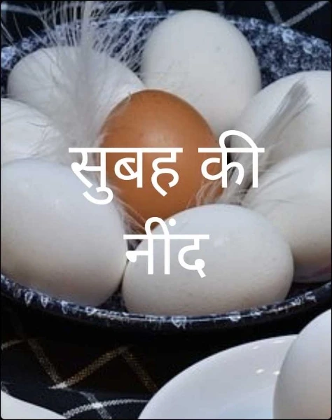 सुबह की नींद
