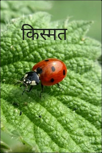 किस्मत