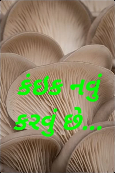 કંઇક નવું કરવું છે...