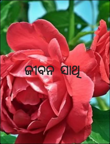 ଜୀବନ ସାଥି