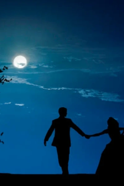 వెన్నెల కురిసిన రాత్రి