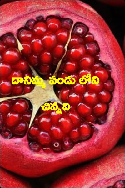 దానిమ్మ పండు లోని చిన్నది