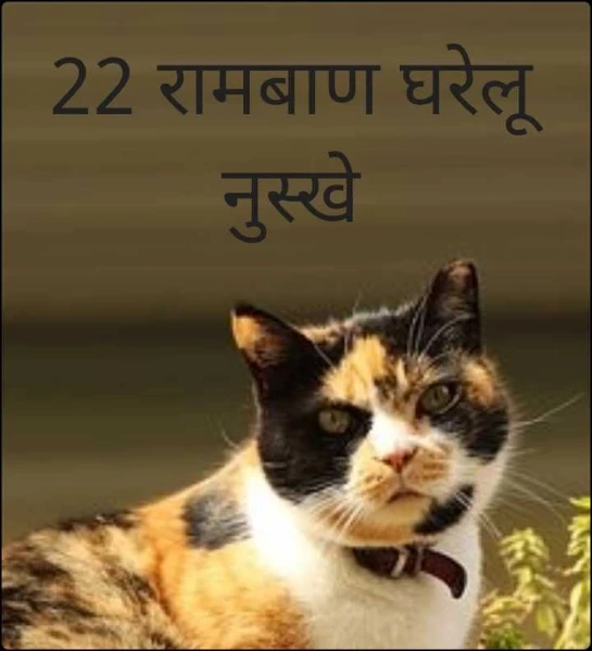 22 रामबाण घरेलू नुस्खे