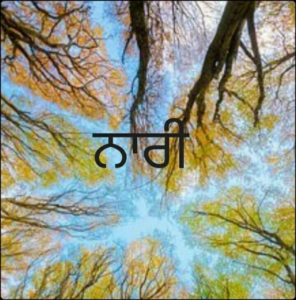 ਨਾਰੀ