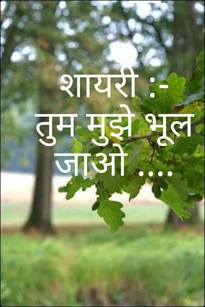 शायरी :- तुम मुझे भूल जाओ ....