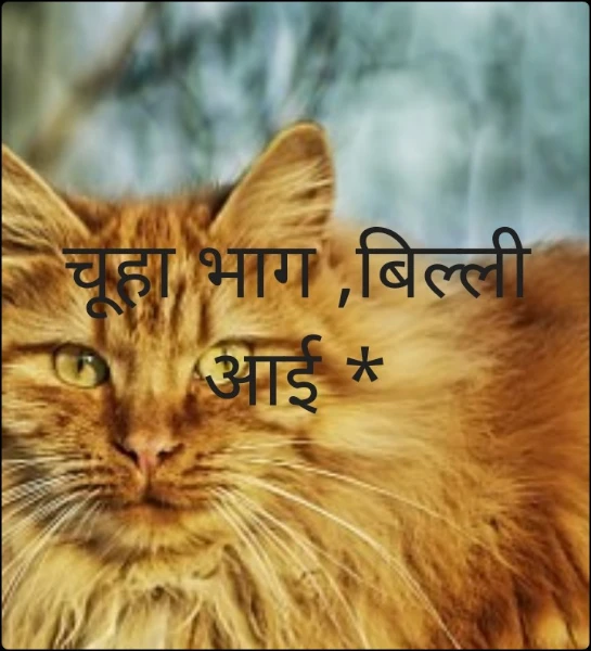 चूहा भाग ,बिल्ली आई *