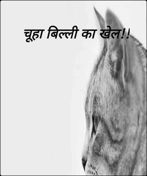 चूहा बिल्ली का खेल!!