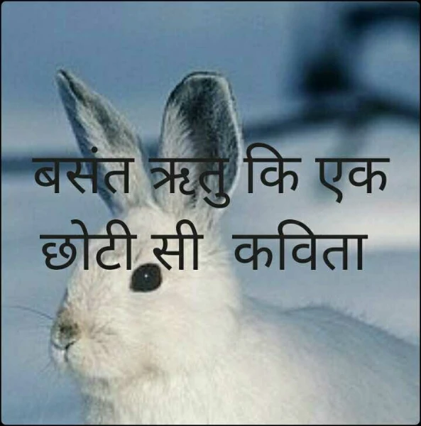 बसंत ऋतु कि एक छोटी सी  कविता
