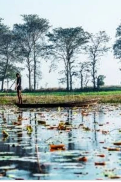 काबर झील पक्षी विहार
